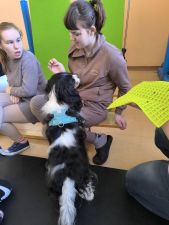 DOGOTERAPIA z psem BILBO